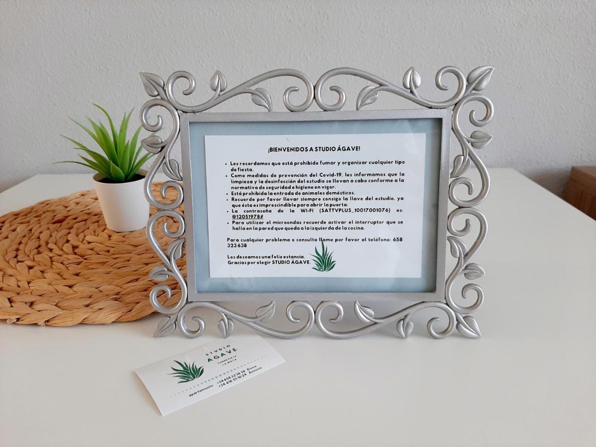 Apartament Studio Agave Torrevieja Zewnętrze zdjęcie